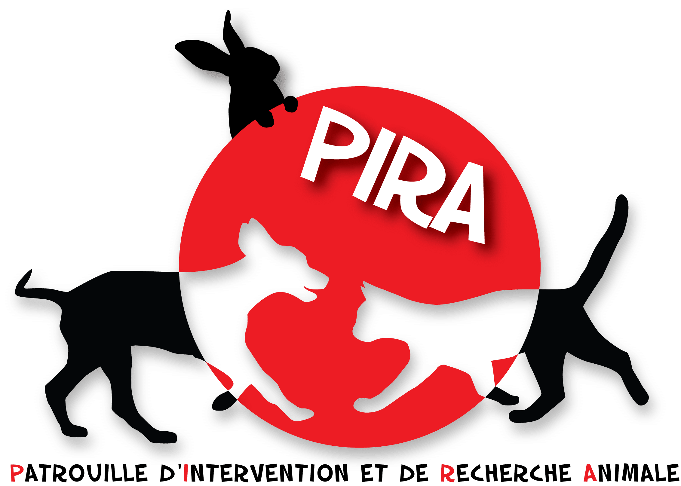 Site web Associatif - Association Pira Mulhouse
